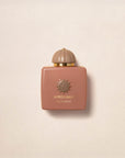 Amouage Guidance