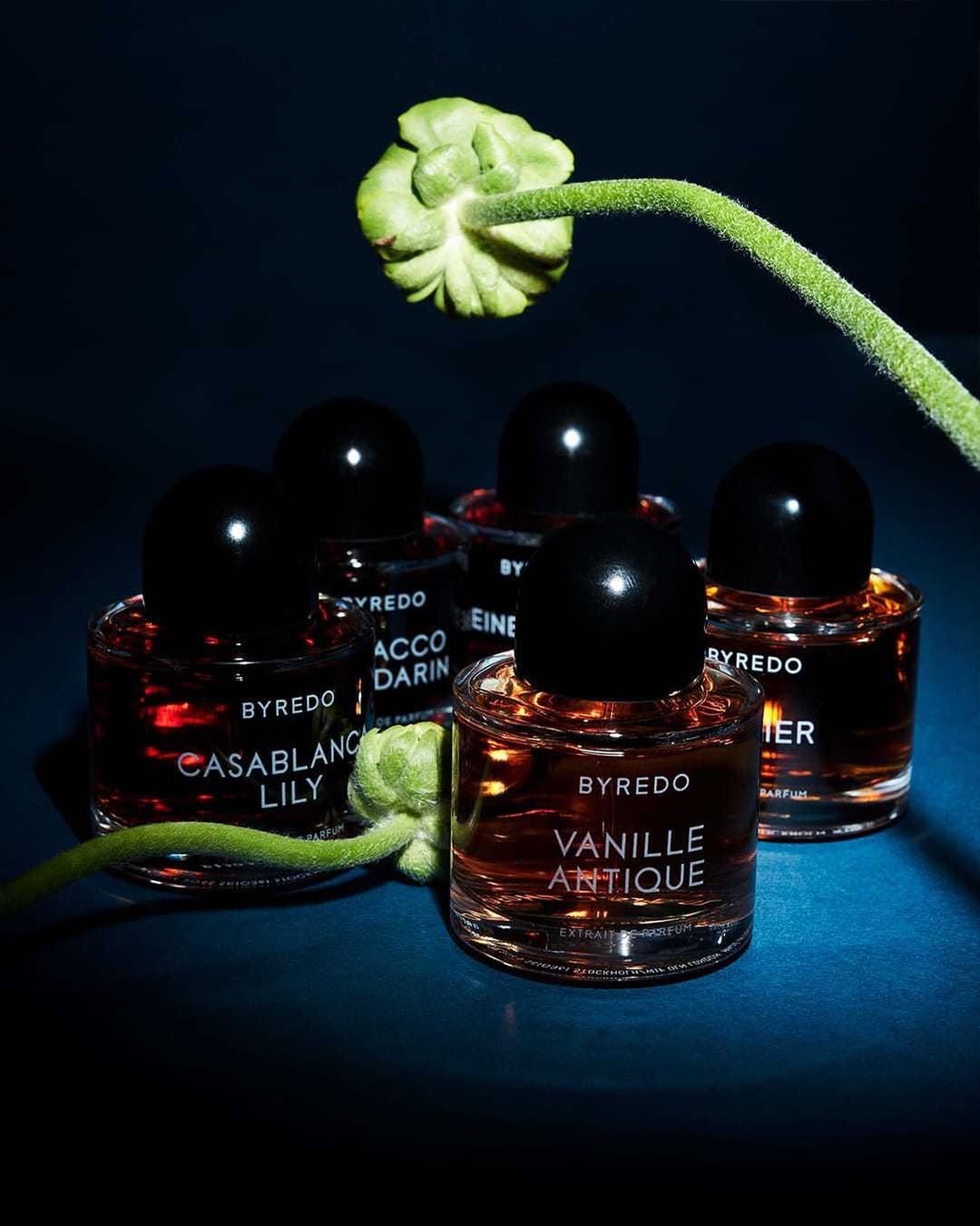 Новинки весна–літо 2026: найкращі парфуми сезону в Santal Perfume Lab