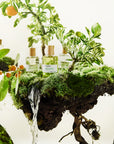 Les Liquides Imaginaires Lime Sister