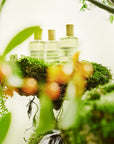 Les Liquides Imaginaires Lime Sister